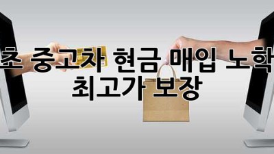 속초 중고차 현금 매입: 노학동 최고가 보장!